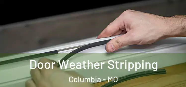  Door Weather Stripping Columbia - MO