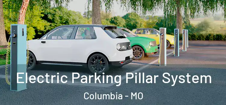 Electric Parking Pillar System Columbia - MO