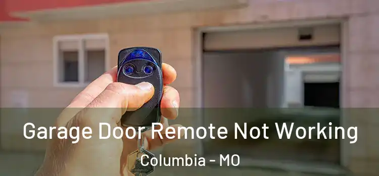  Garage Door Remote Not Working Columbia - MO