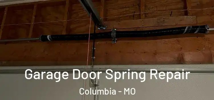  Garage Door Spring Repair Columbia - MO
