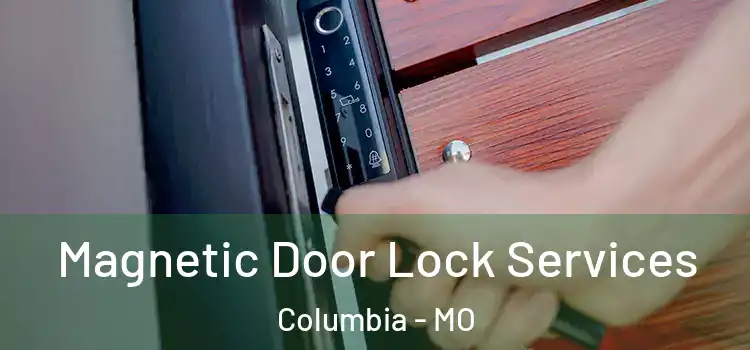 Magnetic Door Lock Services Columbia - MO